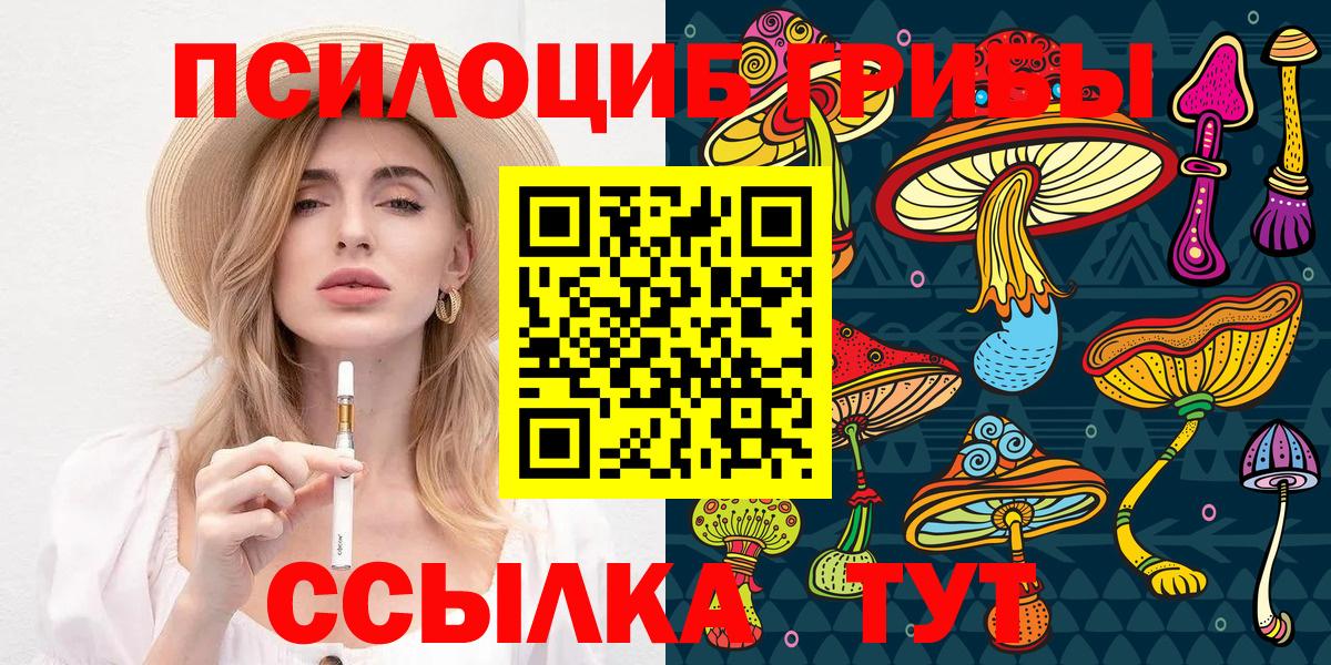 Псилоцибиновые грибы MAGIC MUSHROOMS  Вход с VPN  Кириши 